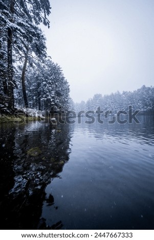 Expansive snowy landscape showcases pristine forest setting with snowy lake and tall trees.