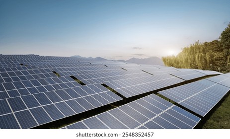 Expansive Solar Panel Array Under a Clear Sky at Sunset  