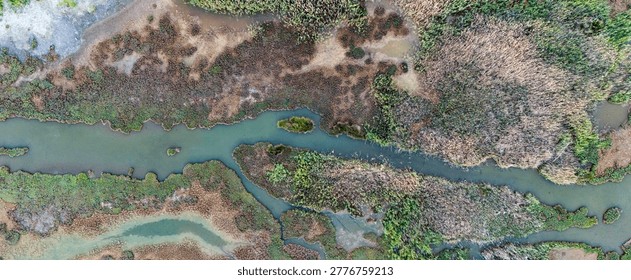Expansive top down view highlighting a dynamic wetland ecosystem featuring a winding central river bordered by diverse colored marshland plant species.