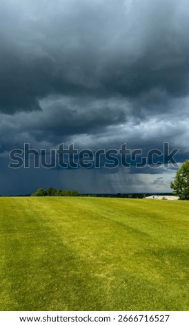 Expansive verdant meadow beneath brooding tempestuous skies, evoking tempest tossed summer solstice, natures feral symphony, and meteorological marvels