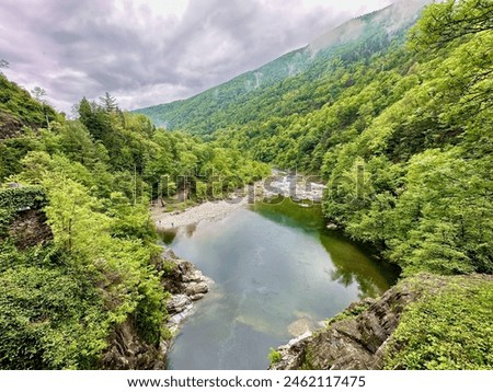 Expansive view of a tranquil river pool surrounded by lush green forests in Orrido di Sant'Anna, Traffiume, Cannobio, under a cloudy sky, Piemont, Italy