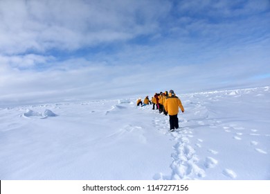 Expedition To Arctica