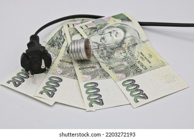 Expensive electricity, money, light bulb and plug
