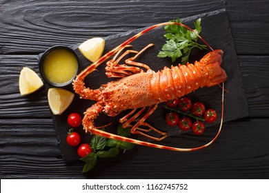 Expensive food: spiny boiled lobster with fresh tomato, lemon and melted butter close-up on black stone. Horizontal top view from above
