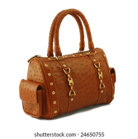 Expensive Leather Bag Isolated