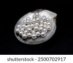 Expensive luxurious Chinese freshwater round pearls in a white shell, to be made into earrings, pendants or necklaces and sold in jewelry store. Popular feminine wedding accessory.