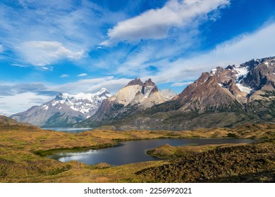 Experience the breathtaking beauty of Torres del Paine National Park, where the towering mountains meet the glistening glaciers and the wildlife roams free - Magellan and the Chilean Antarctic, Chile