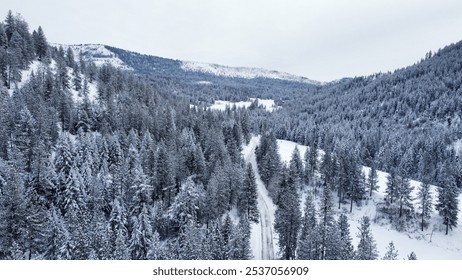 Experience a breathtaking winter wonderland in this stunning aerial view of a snow-covered forest. Majestic pine trees blanket the landscape, set against serene mountains.  - Powered by Shutterstock