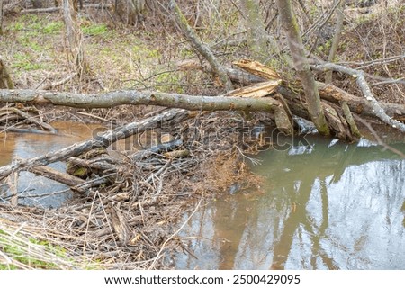 Similar – Image, Stock Photo meeting Reflection Pond