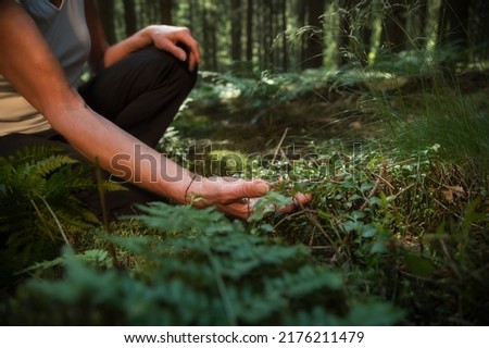 Experience the forest while bathing in the forest (Shinrin Yoku) with all her senses. A 50 year old woman is tasting wild herbs in the forest. The sun shines through the leaves. Be h3althy.