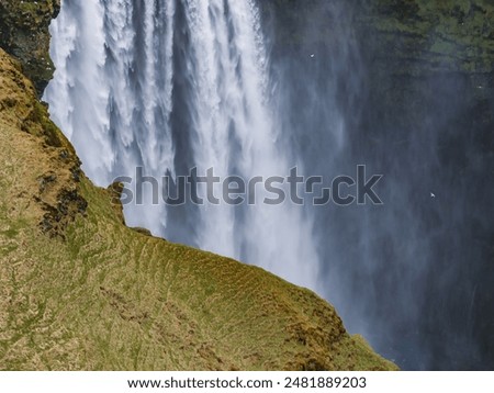 Similar – Foto Bild ganz schön hoch Natur