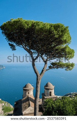 Similar – Image, Stock Photo Panoramic view over Amalfi