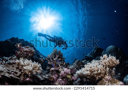 Experience the thrill of the underwater world with our stunning scuba diving images. From skilled divers to colorful marine life, discover the beauty and adventure of the deep blue sea.  Stock photo © 