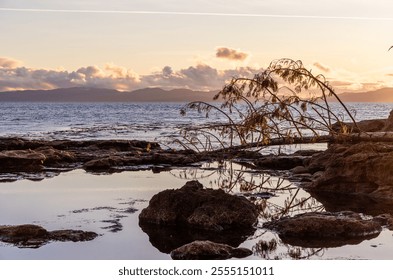 Experience the tranquil beauty of sunset at Port Renfrew, Vancouver Island. The serene coastal scene features calm waters, rocky shoreline, and the unique charm of the West Coast in Canada. - Powered by Shutterstock