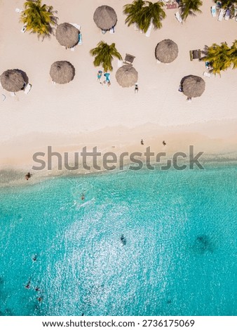 Experience the tranquility of Cas Abao Beach, where soft sand meets crystal-clear water. Sunbathers relax under palm trees, creating a perfect vacation spot in the Caribbean paradise of Curacao.