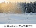 Experience the Winter Serenity A Charming Solitary Cabin Nestled Amidst the Snowy Wilderness