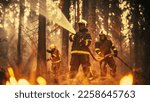 Experienced African American Firefighter Extinguishing a Wildland Fire Deep in a Forest. Professional in Safety Uniform and Helmet Using a Fire Hose to Battle Dangerous Wildfire.