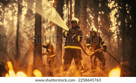 Experienced African American Firefighter Extinguishing a Wildland Fire Deep in a Forest. Professional in Safety Uniform and Helmet Using a Fire Hose to Battle Dangerous Wildfire.