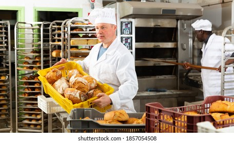 Experienced Baker Working In Small Bakery, Carrying Fresh Baked Bread In Box ..