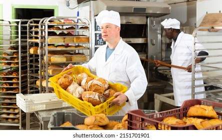 Experienced Baker Working In Small Bakery, Carrying Fresh Baked Bread In Box ..