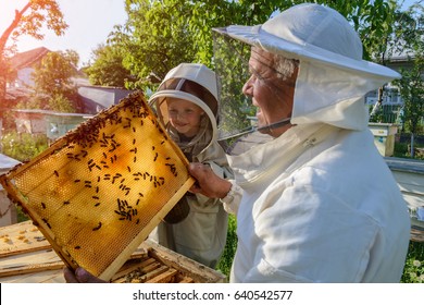 Experienced beekeeper grandfather teaches his grandson caring for bees. Apiculture. The concept of transfer of experience