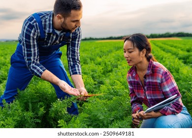 An experienced farmer proudly presents the thriving carrot crops to a young and aspiring female agricultural engineer, sharing knowledge and expertise in the field. - Powered by Shutterstock