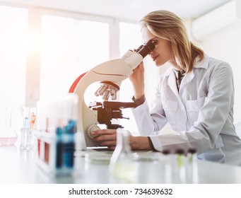 Experienced female scientist is working in laboratory. Doing investigations with microscope.