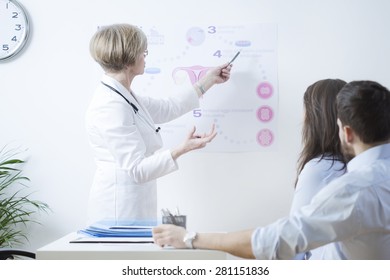 Experienced Gynecologist Explaining To Infertile Couple In Vitro Method