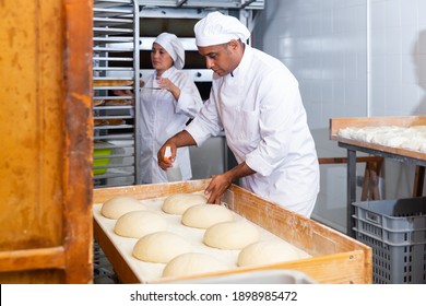 Experienced hispanic baker sprinkling water on surface of raw formed bread from spray bottle to form thin and crispy crust during baking - Powered by Shutterstock