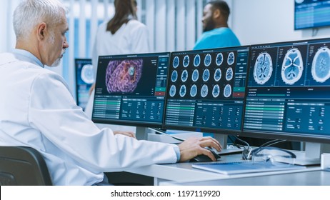 Experienced Senior Scientist Working With CT/ MRI Brain Scan Images On A Personal Computer In Laboratory. Neurologists / Neuroscientists In Medical Research Center Work On Brain Tumor Cure.