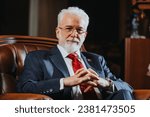 Experienced University Rector Sitting in Armchair Posing For The Camera. Portrait of University Rector.