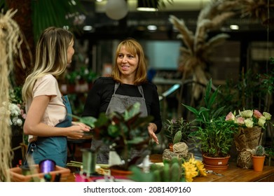 Experienced woman florist helping young employee how their business works and how to deal with customers - Powered by Shutterstock