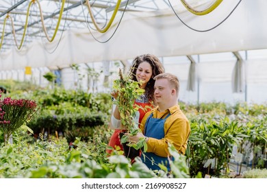 Experienced Woman Florist Helping Young Employee With Down Syndrome In Garden Centre.