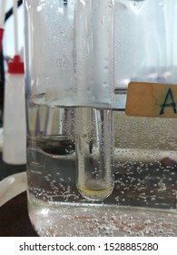 An Experiment Of Aromatics Hydrocarbons React With Bromine Water