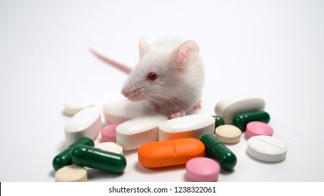 Preclinical Images Stock Photos Vectors Shutterstock - experimental mouse and pills concept testing of drugs laboratory animals vitamins