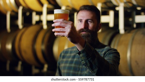 
expert brewer of beer tastes in style hipster uan clear double malt beer. concept of craft beer and plenty of hops. - Powered by Shutterstock