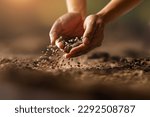 Expert farmer hand sowing seeds of vegetable on prepared soil. Gardening and Agriculture concept.