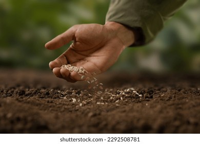 Expert farmer sowing seed on a good soil. grow vegetable and flower at garden concept. - Shutterstock ID 2292508781
