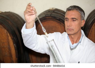 expert making tests in a wine cellar