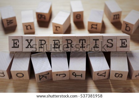 Expertise Word In Wooden Cube