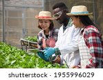 Experts are educating farmers about horticultural growing. The factory quality control department is inspecting organic vegetables before purchasing. Concept of agricultural cooperation.