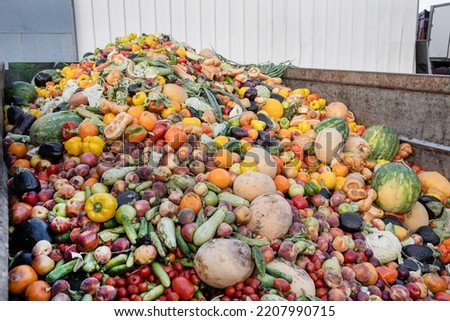 Expired food Organic bio waste. Mix Vegetables and fruits in a huge container, in a rubbish bin. Heap of Compost from vegetables or food for animals.