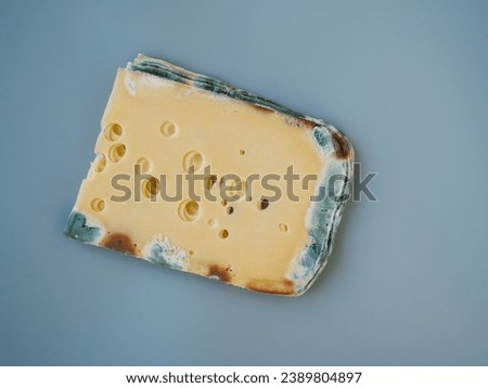 Expired moldy hard cheese purchased at the supermarket. Wastage of Lycopersicon. Incorrect long-term storage. Food waste in supermarkets. Rotten meal on the grey blue background