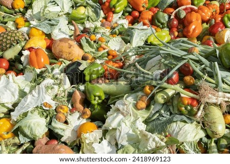Expired Organic bio waste. Biodegradable waste decomposing, a mix of fruits and vegetables beginning the decomposition process. Mix Vegetables and fruits in a huge container. Organic Compost heap