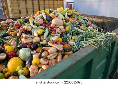 Expired Organic bio waste. Mix Vegetables and fruits in a huge container, in a rubbish bin. Heap of Compost from vegetables or food for animals. - Shutterstock ID 2203815095
