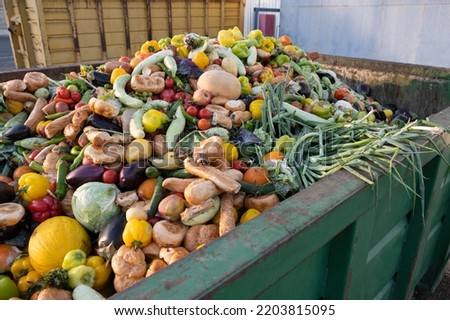 Expired Organic bio waste. Mix Vegetables and fruits in a huge container, in a rubbish bin. Heap of Compost from vegetables or food for animals.
