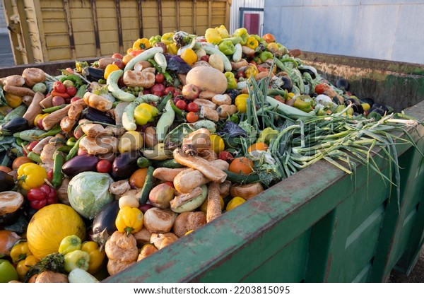 Expired Organic bio waste. Mix Vegetables and\
fruits in a huge container, in a rubbish bin. Heap of Compost from\
vegetables or food for\
animals.