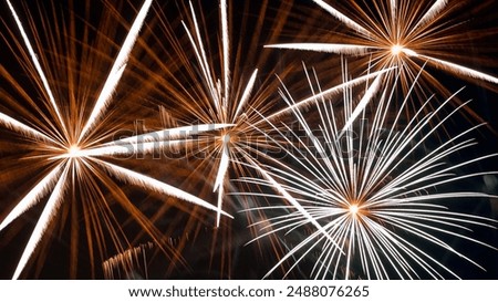 Exploding fireworks emit beautiful gold and white feather shaped light trails.