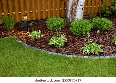 Explore a beautifully designed garden with lovely mulch and captivating outdoor lighting