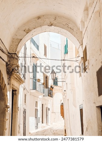 Similar – Image, Stock Photo Gallipoli, Apulia